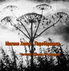 Переборщили - Автор неизвестен