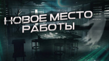 Новое место работы - Автор неизвестен