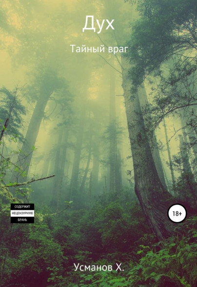 Дух. Тайный враг - Хайдарали Усманов (10)
