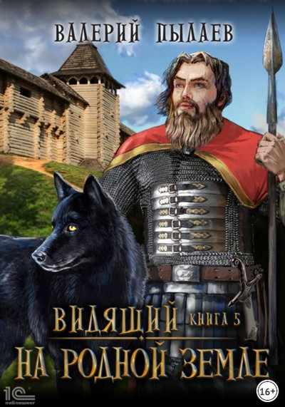 Видящий. На родной земле - Валерий Пылаев (книга 5)