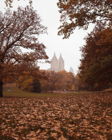 Фараон и хорал - Генри О.