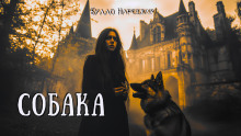 Собака - Буало-Нарсежак