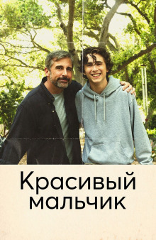 Красивый мальчик. Правдивая история отца, который боролся за сына - Шефф Дэвид