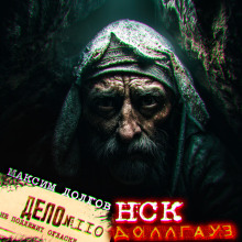 НСК дело № 110. Доллгауз - Максим Долгов