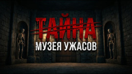 Галстук Вудро Вильсона - Патриция Хайсмит