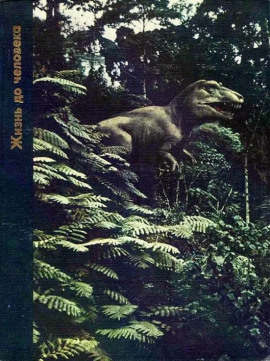 Жизнь до человека - Питер Вуд