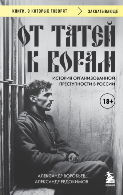 От татей к ворам. История организованной преступности в России - Александр Воробьев, Александр Евдокимов