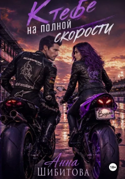 К тебе на полной скорости - Анна Шибитова
