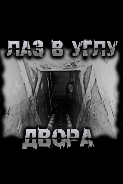 Лаз в углу двора - Чёрный Роман
