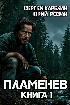 Пламенев. Книга 1 - Сергей Карелин
